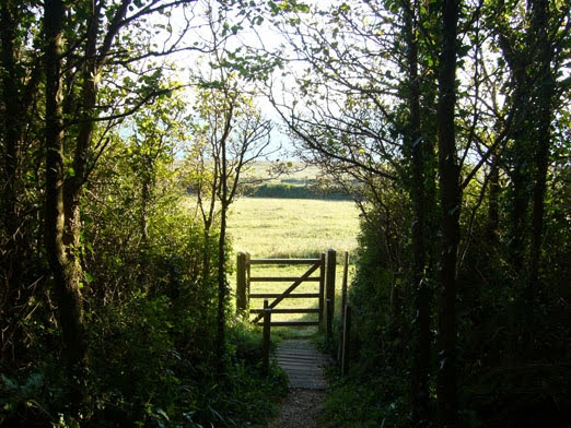 View through the woods to a gate to the sea