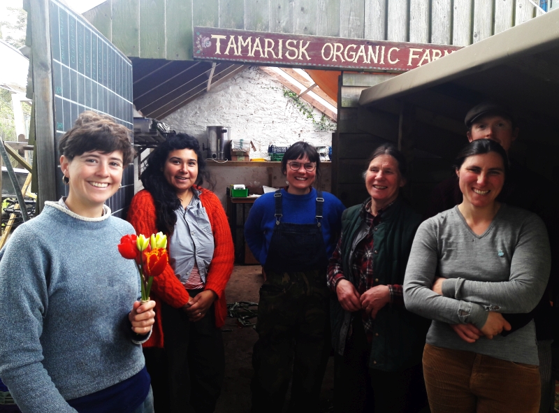 Six of the team pause from packing salads at Tamarisk Organic Farm Shop
