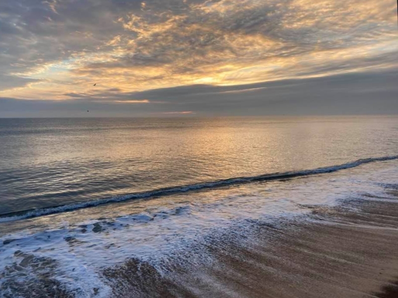A calm sea meets the shore