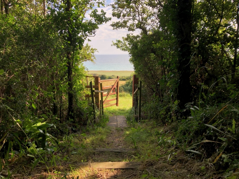 Woodland path at Othona leading to a gate and a sea view