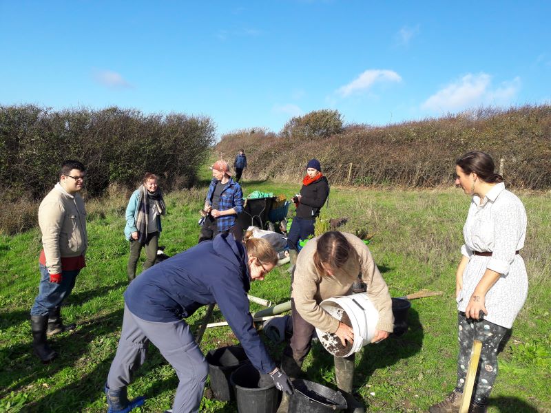 Young adults preparing to plant trees