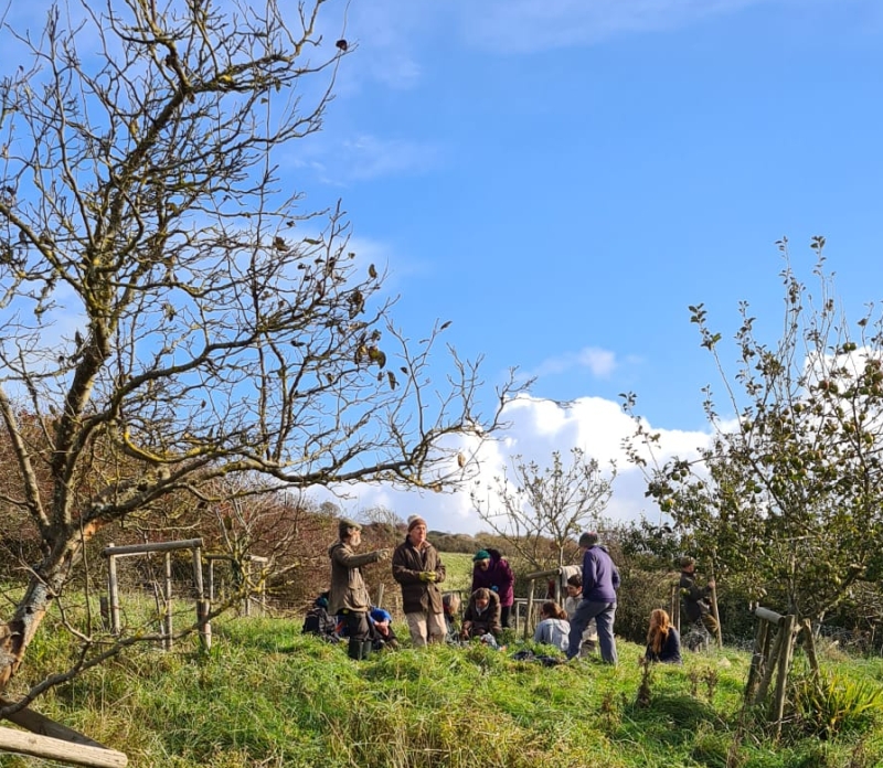 Relaxing among orchard trees