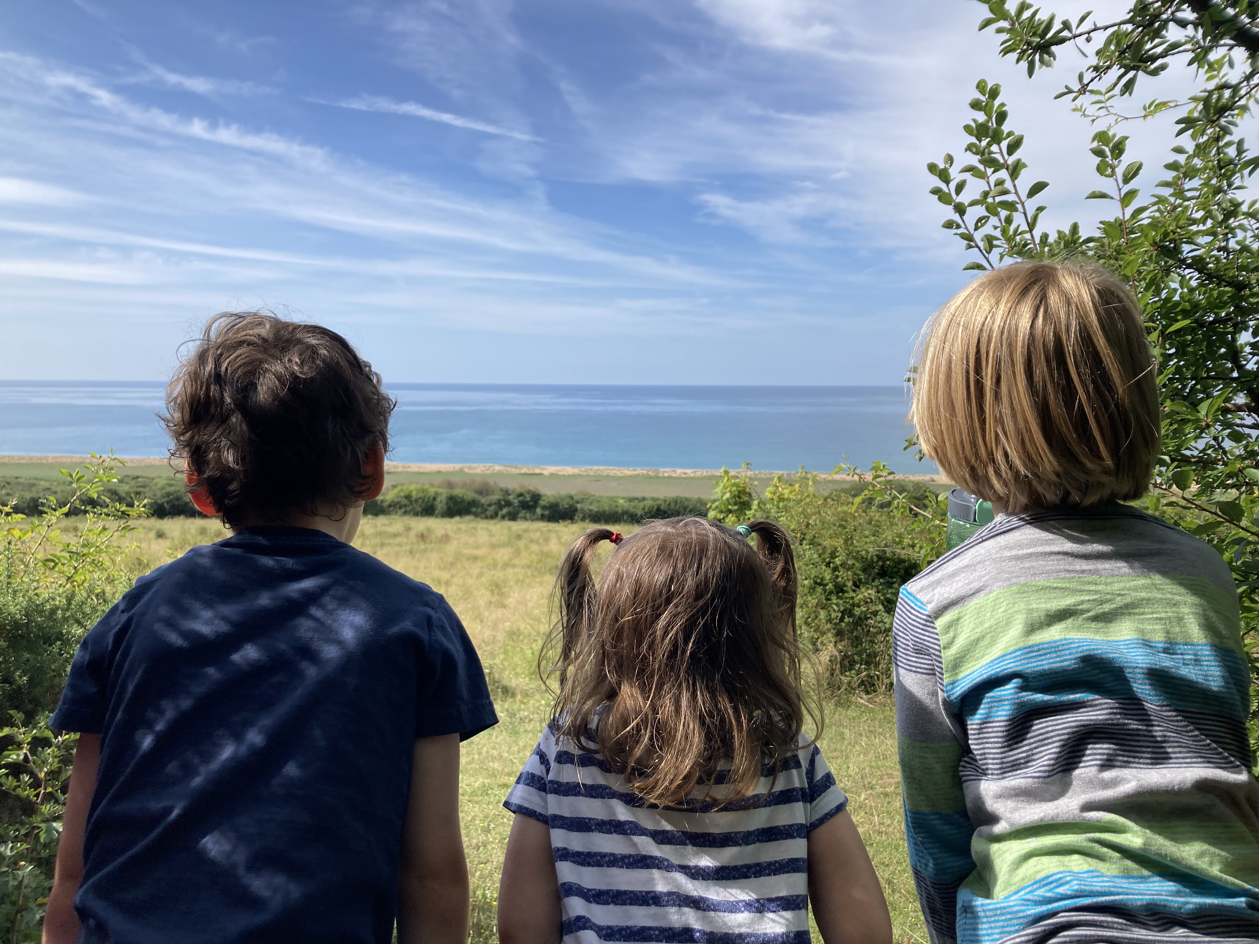 Three children on a gate looking seawards
